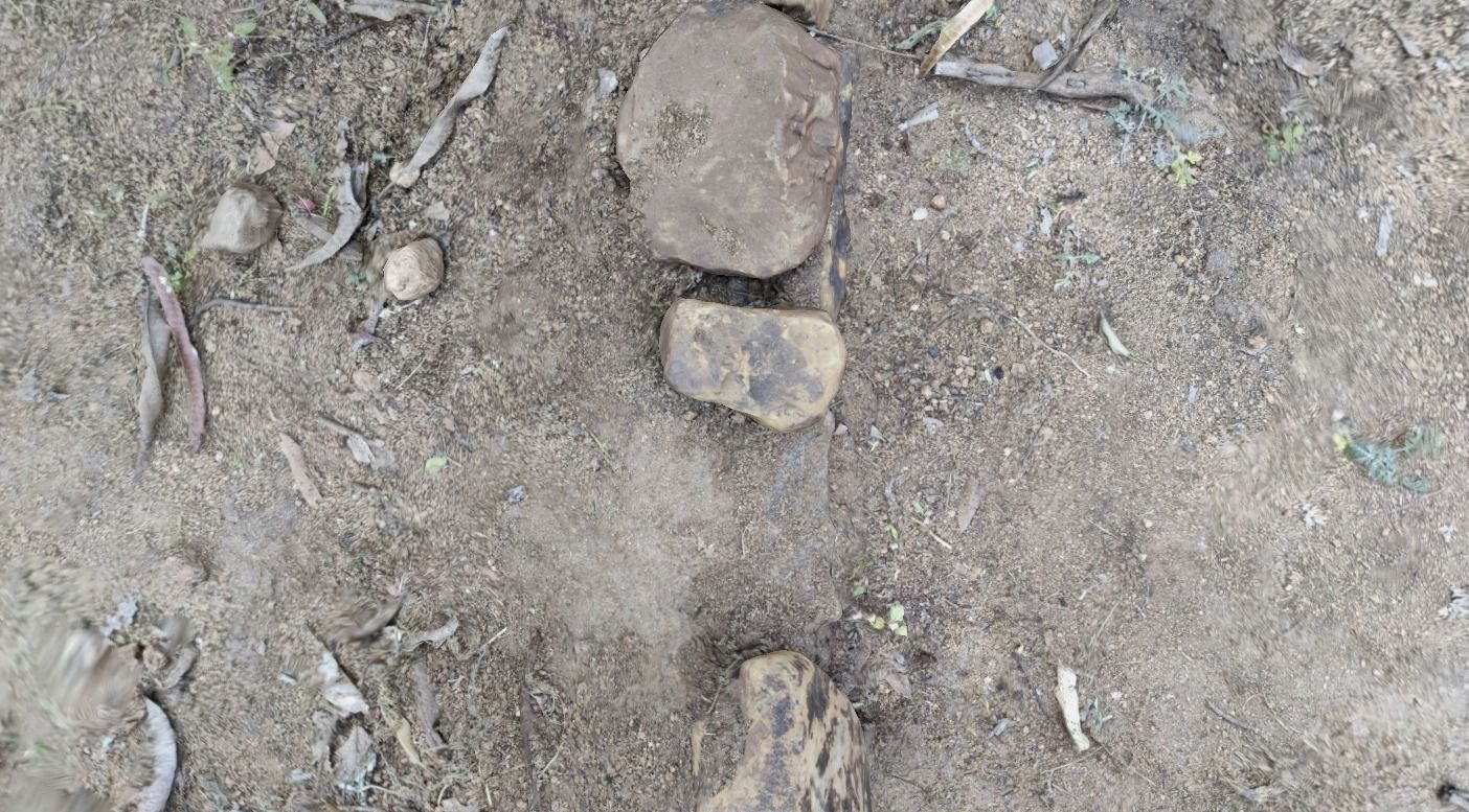 Rocks in Forest 3D model_8