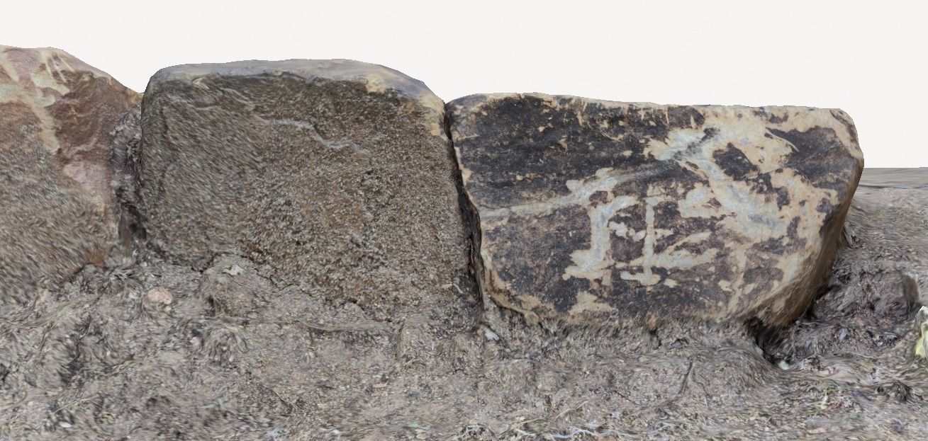 Rocks in Forest 3D model_3