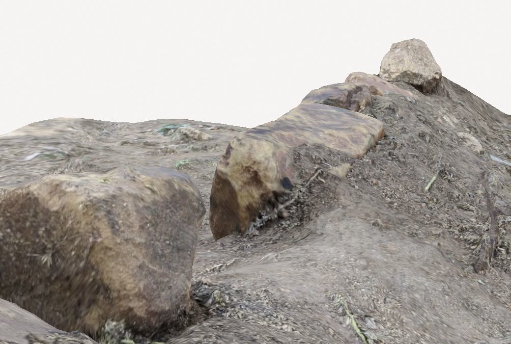 Rocks in Forest 3D model_6