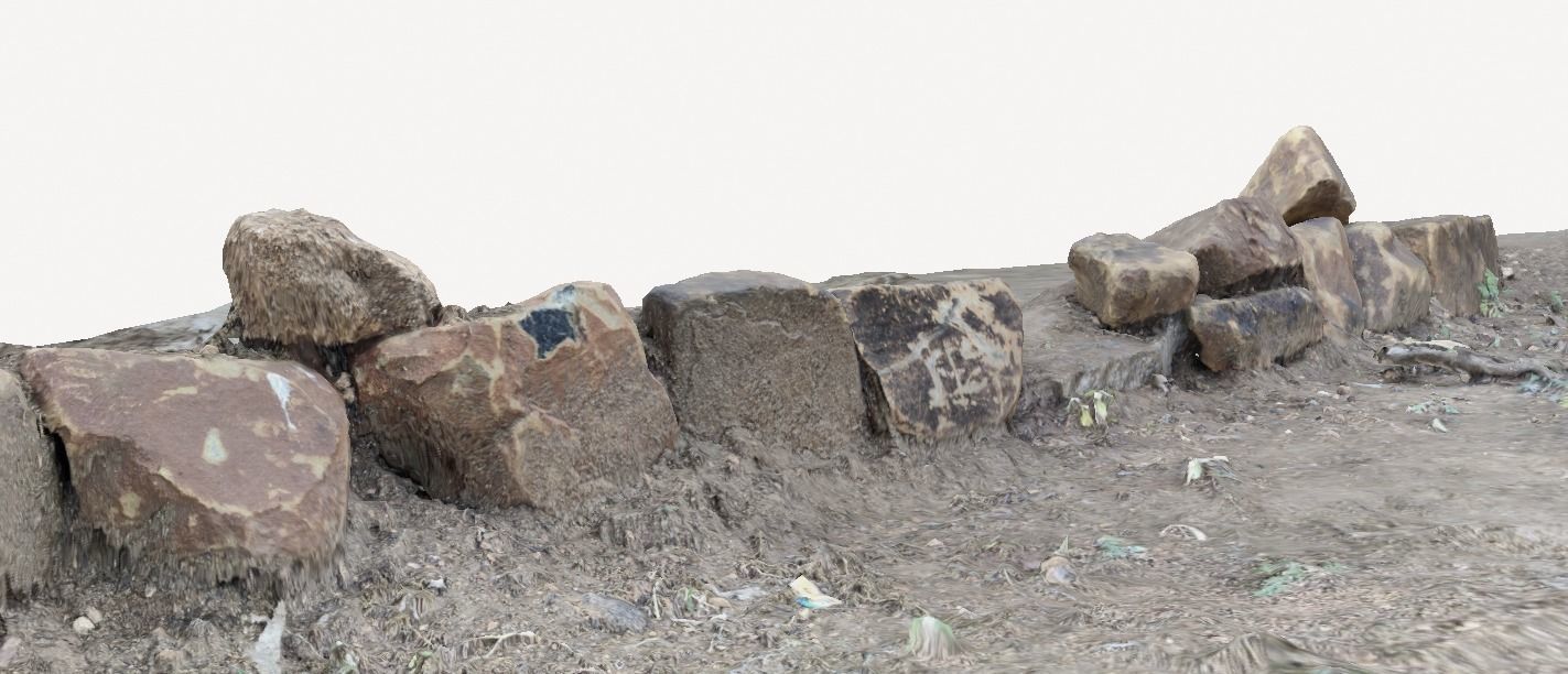 Rocks in Forest 3D model_7