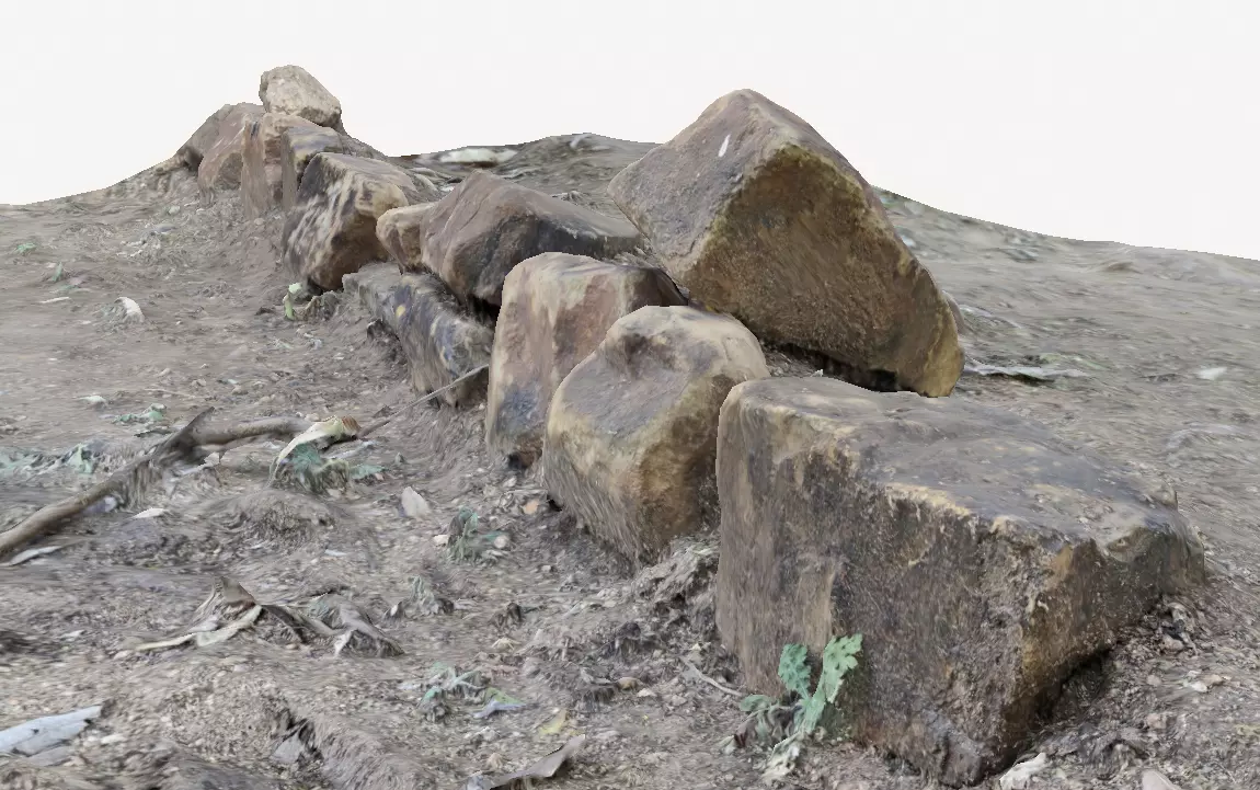 Rocks in Forest 3D model_0