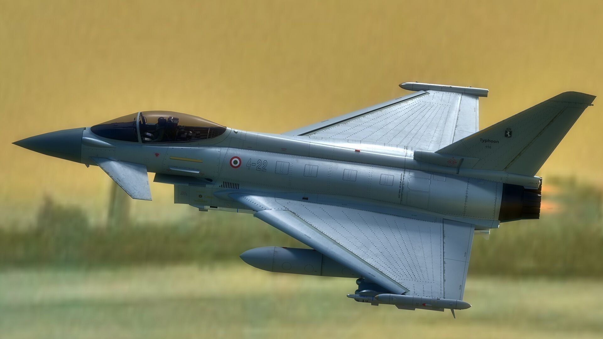 EuroFighter Typhoon Fully Rigged with High Resolution Cocpit Low-poly 3D model_3