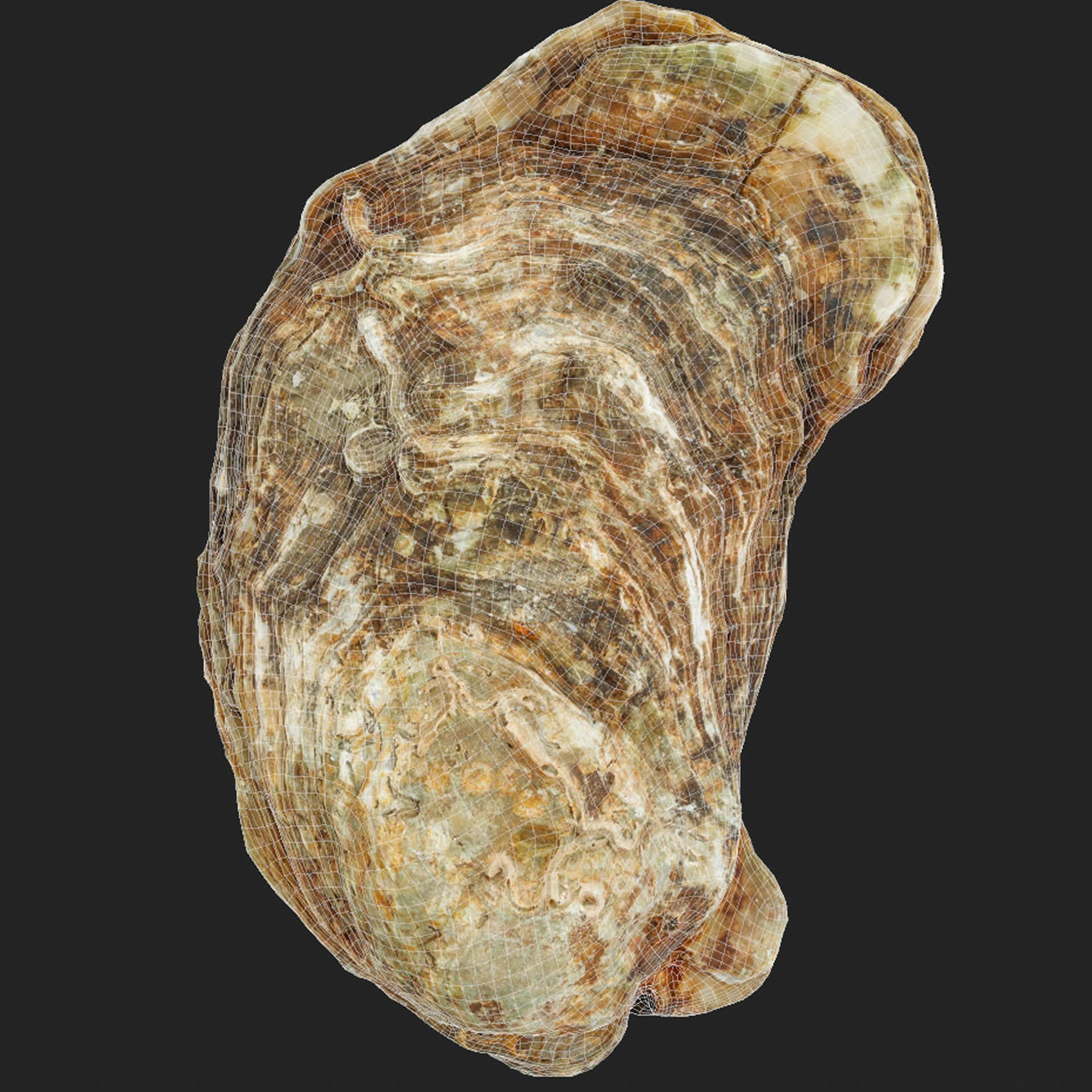 Oyster collections set Low-poly 3D model_18