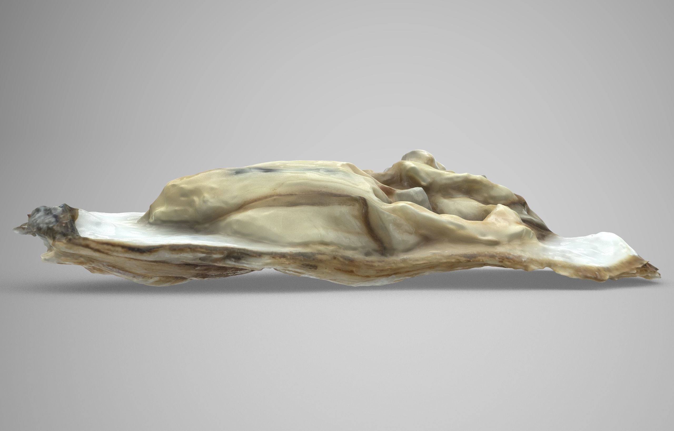 Oyster collections set Low-poly 3D model_25