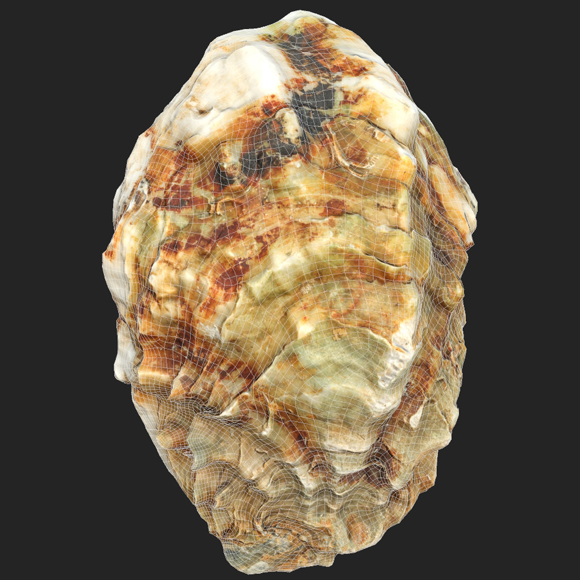 Oyster collections set Low-poly 3D model_11