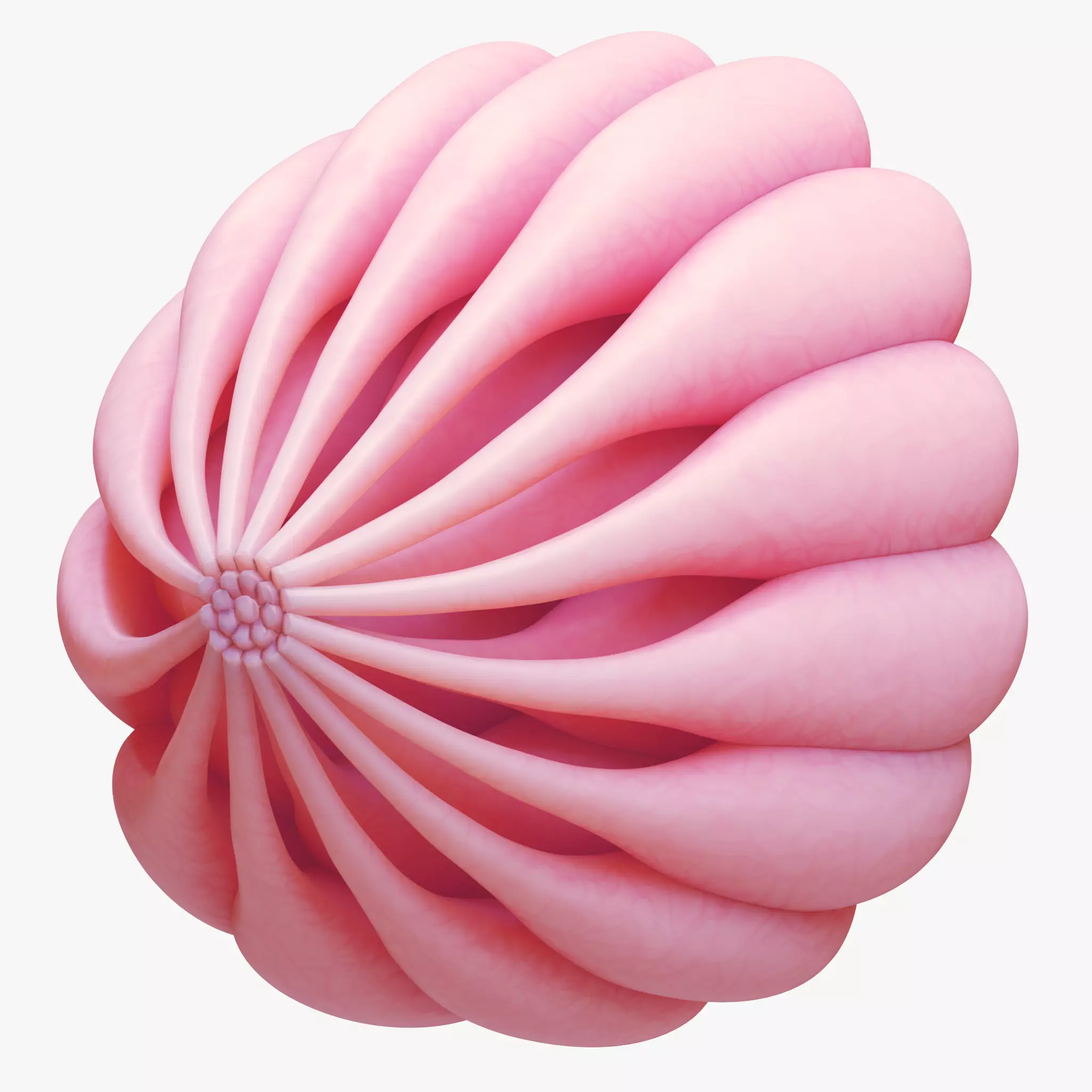 Mammary Gland Anatomy 3D model_0