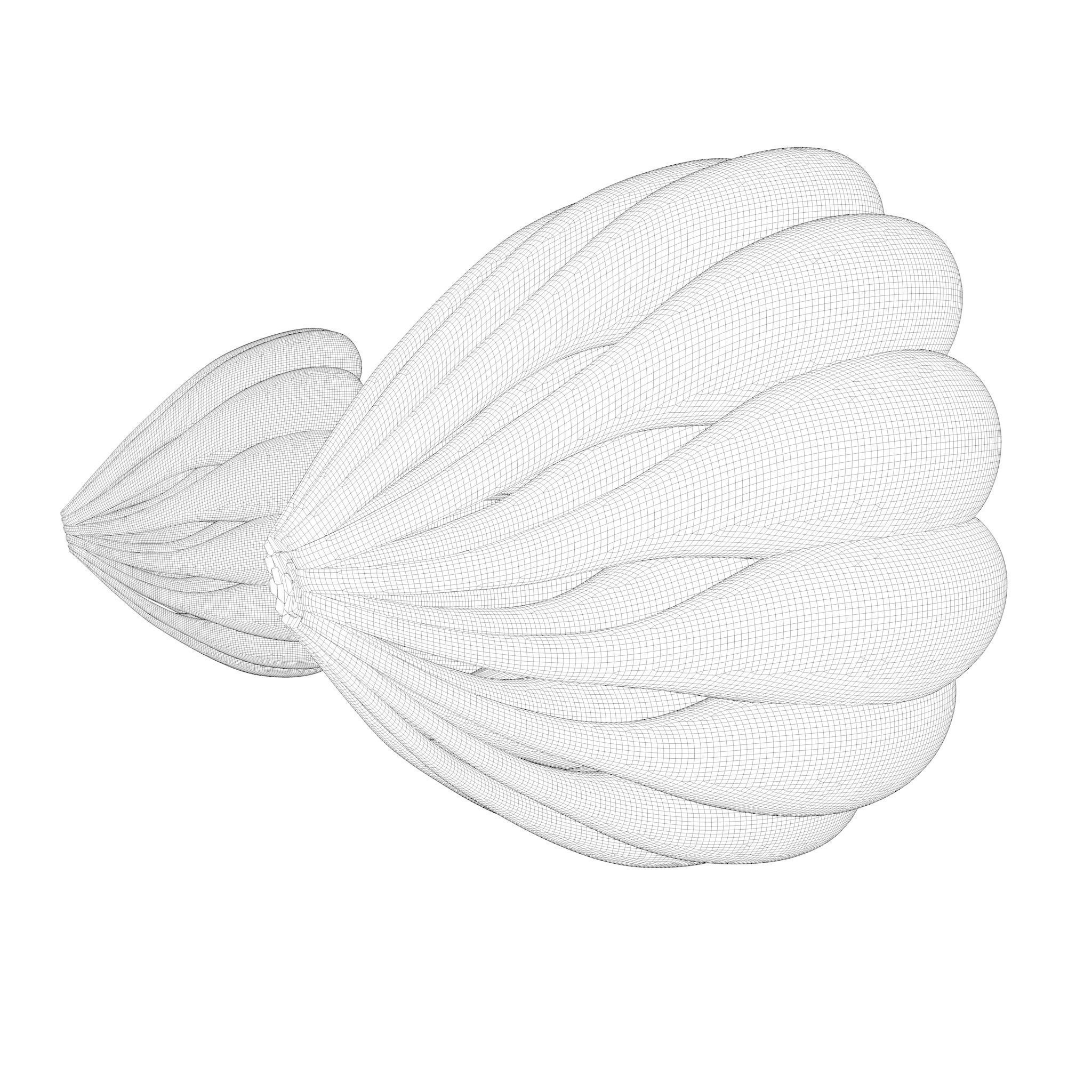 Mammary Gland Anatomy 3D model_10