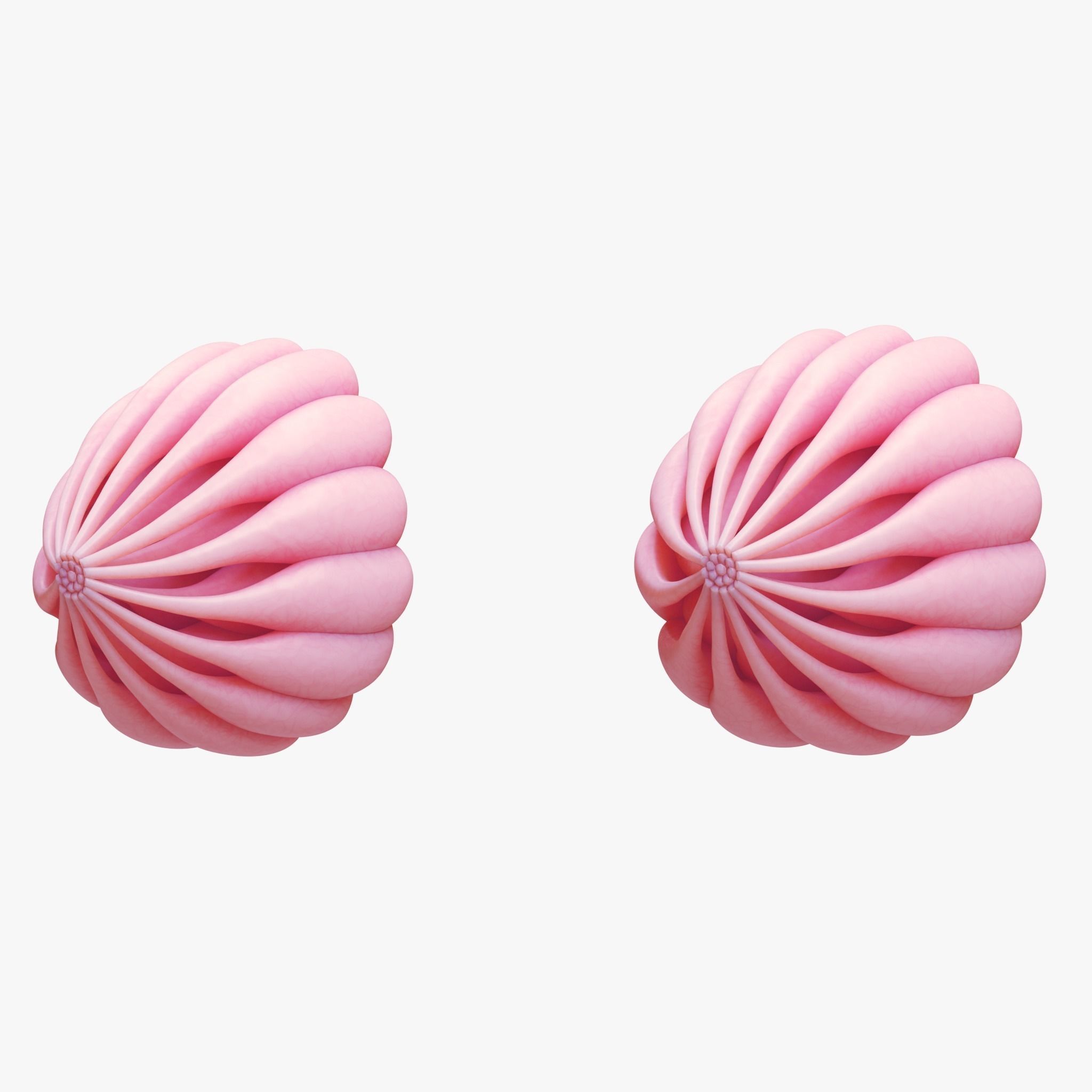 Mammary Gland Anatomy 3D model_1