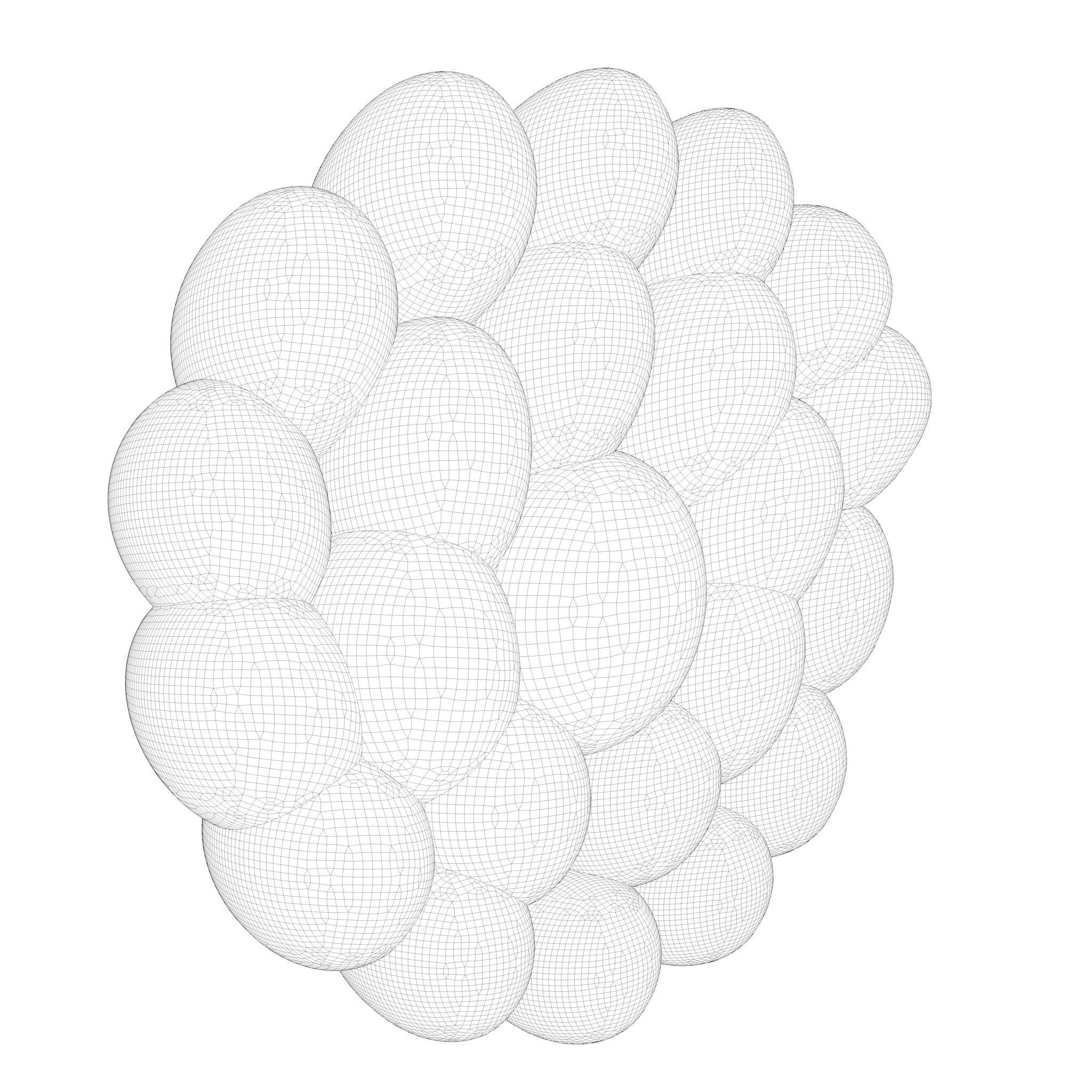 Mammary Gland Anatomy 3D model_11