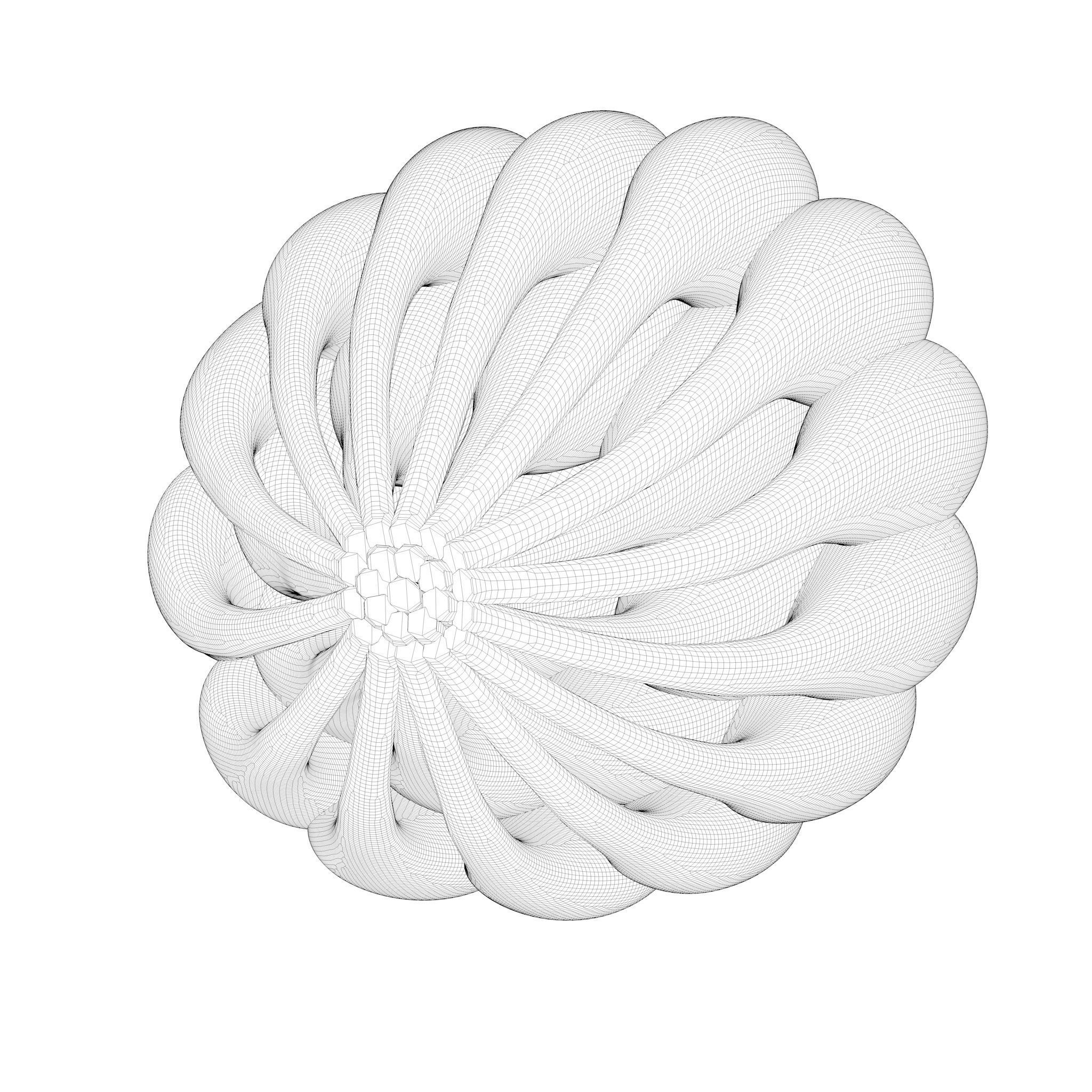 Mammary Gland Anatomy 3D model_9