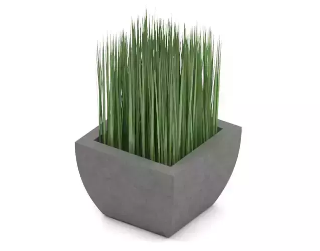 Potted grass Free 3D model
