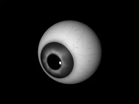 Grey eyes Free low-poly 3D model_0