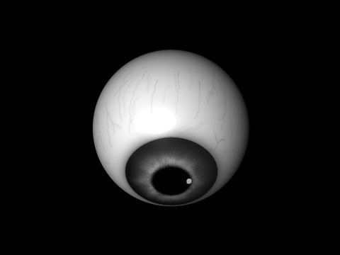 Grey eyes Free low-poly 3D model_2