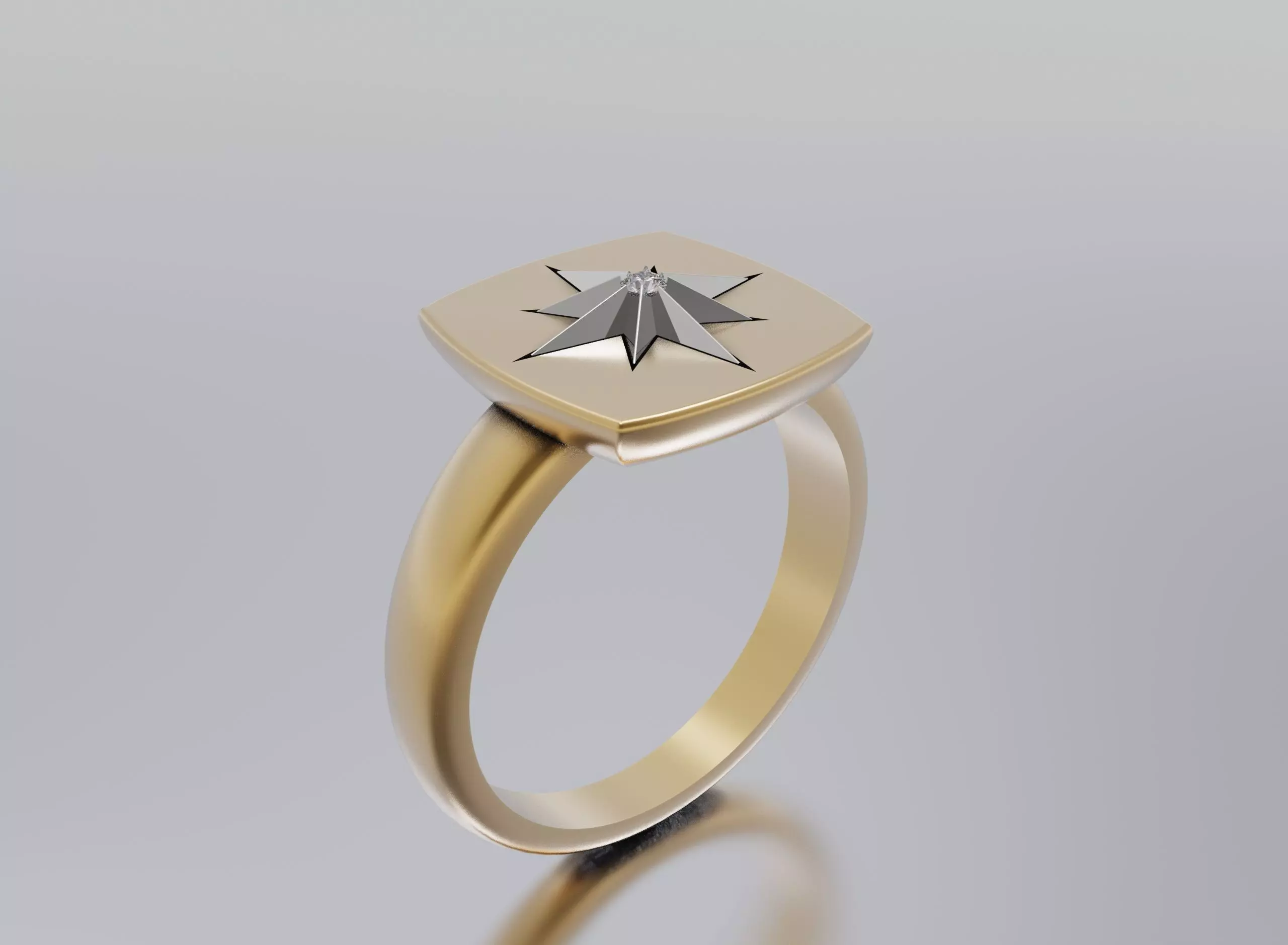 ring ring 3D print model_0