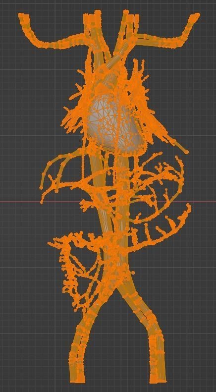 3d model of cardiovascular system thorax and abdomen 3D print model_44