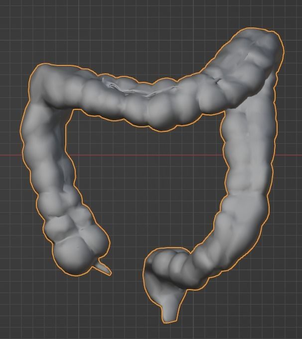 3d model of cardiovascular system thorax and abdomen 3D print model_29