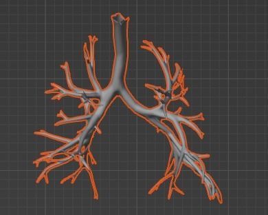 3d model of cardiovascular system thorax and abdomen 3D print model_40