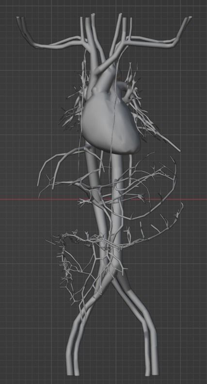 3d model of cardiovascular system thorax and abdomen 3D print model_42
