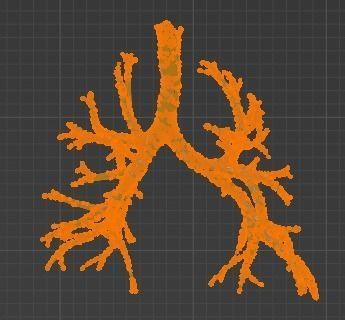 3d model of cardiovascular system thorax and abdomen 3D print model_41