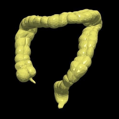 3d model of cardiovascular system thorax and abdomen 3D print model_19