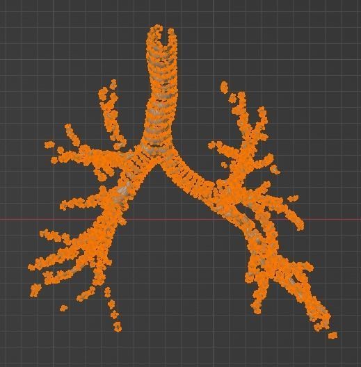 3d model of cardiovascular system thorax and abdomen 3D print model_46