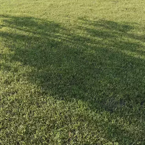 Outdoor Grass 001