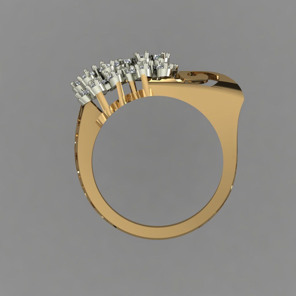 Beautifull Jali On Surface With The Flower Of Daimonds Ring  3D print model_6