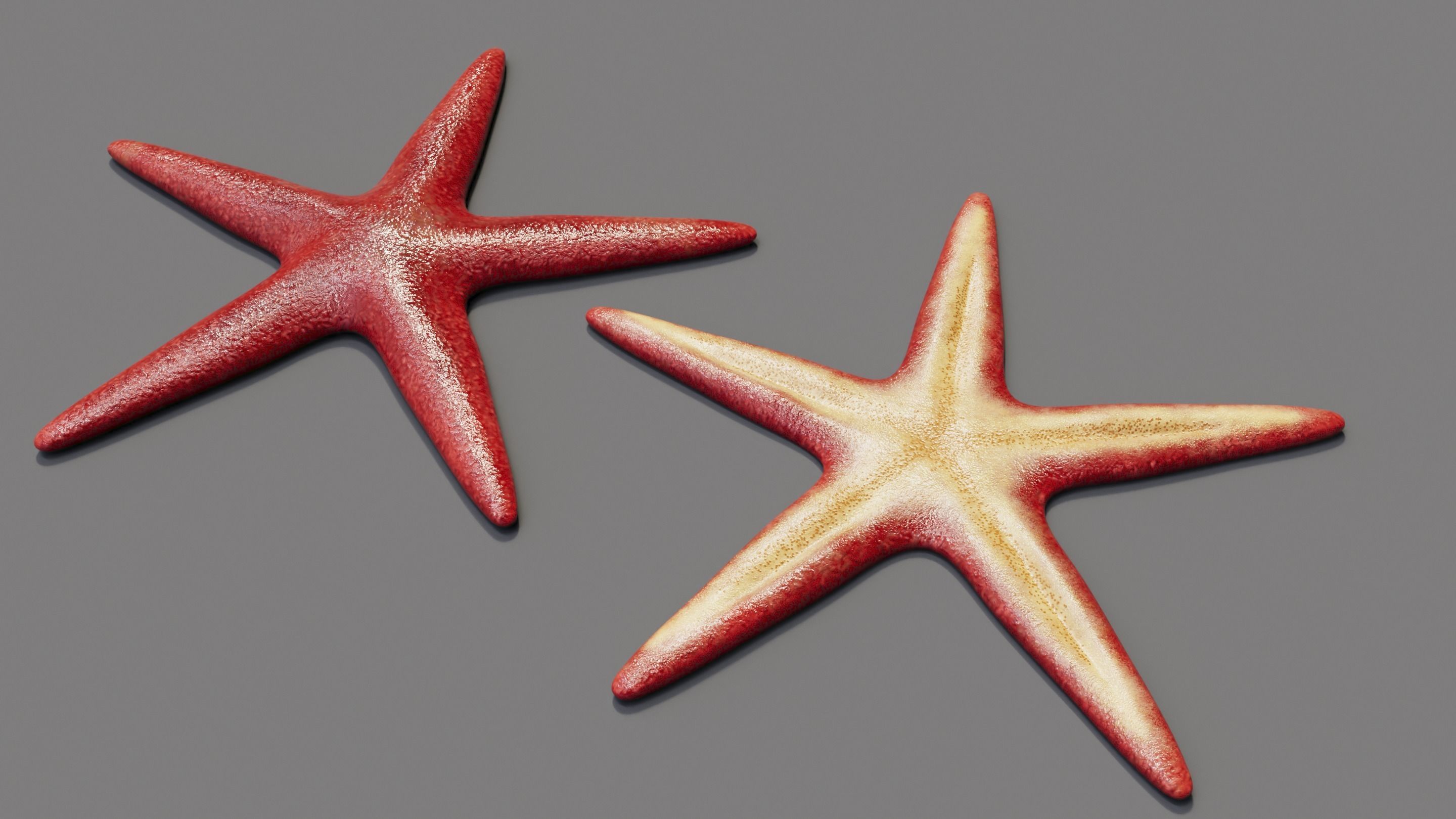 Red Starfish Low-poly 3D model_1