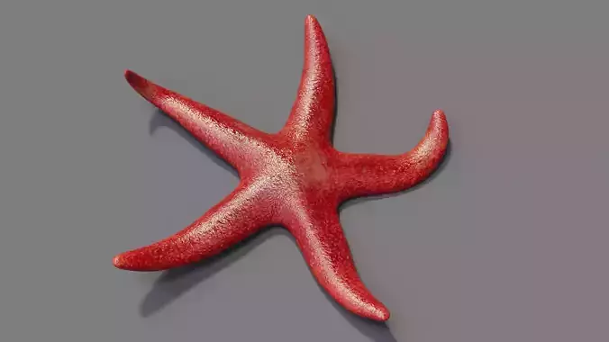 Red Starfish