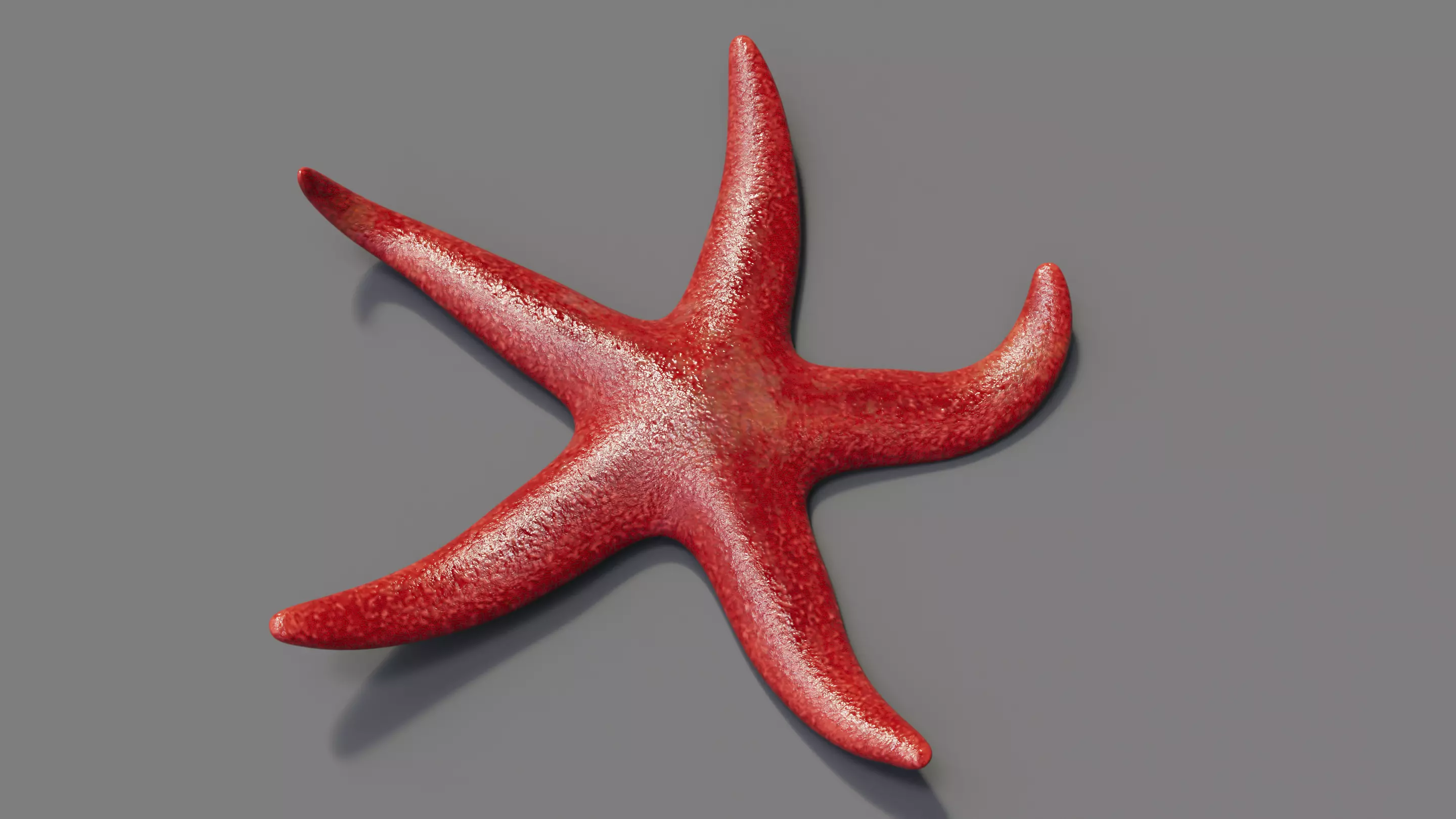 Red Starfish Low-poly 3D model_0