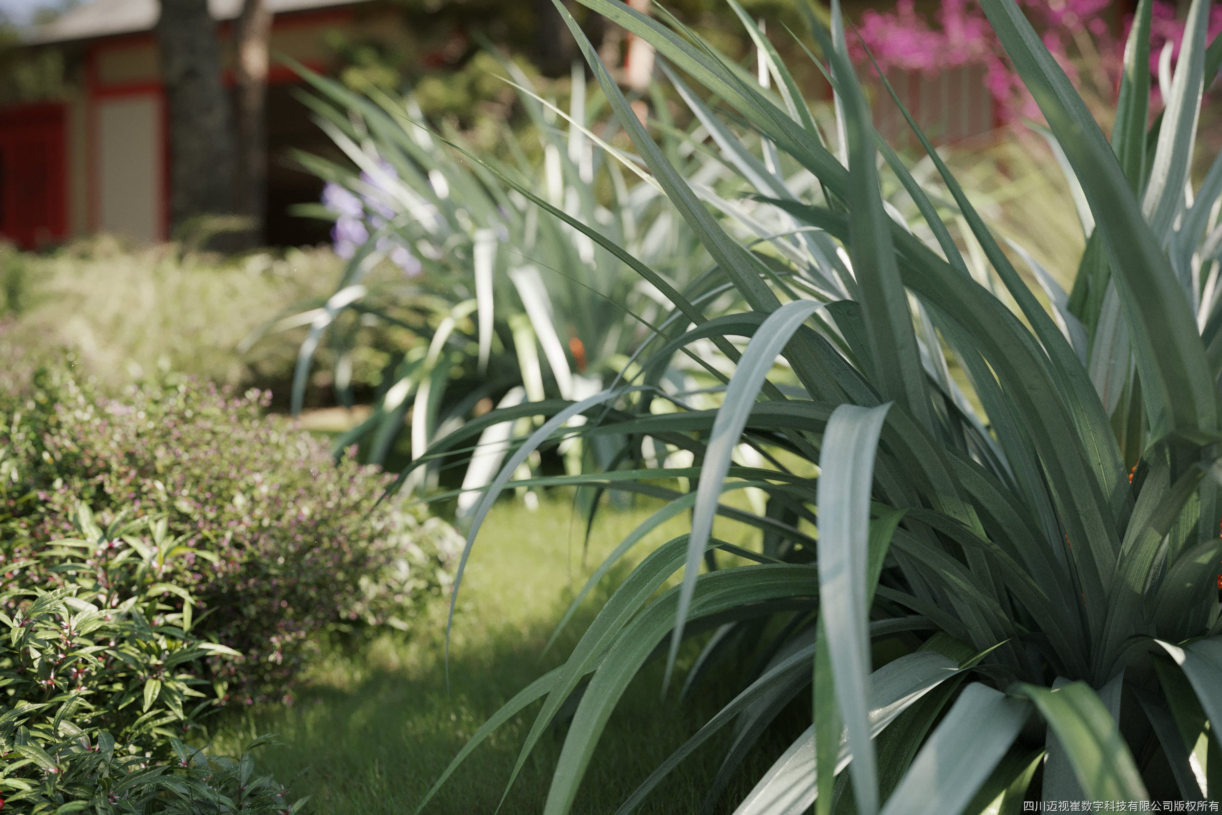 Maxtree Plant Models Vol 55 - Mesh 3D model_2