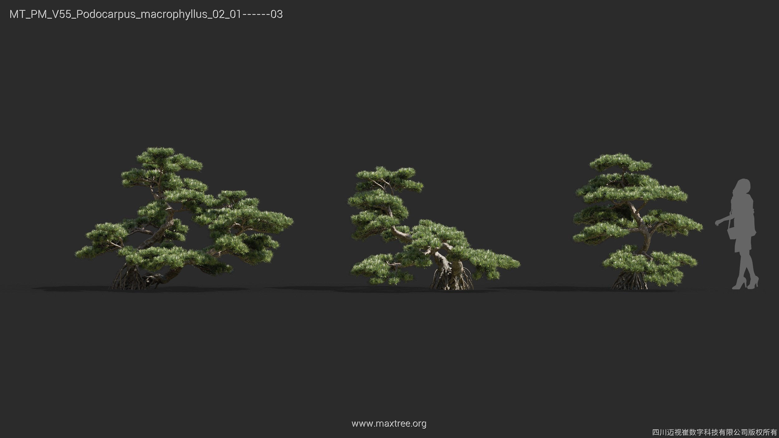 Maxtree Plant Models Vol 55 - Mesh 3D model_27