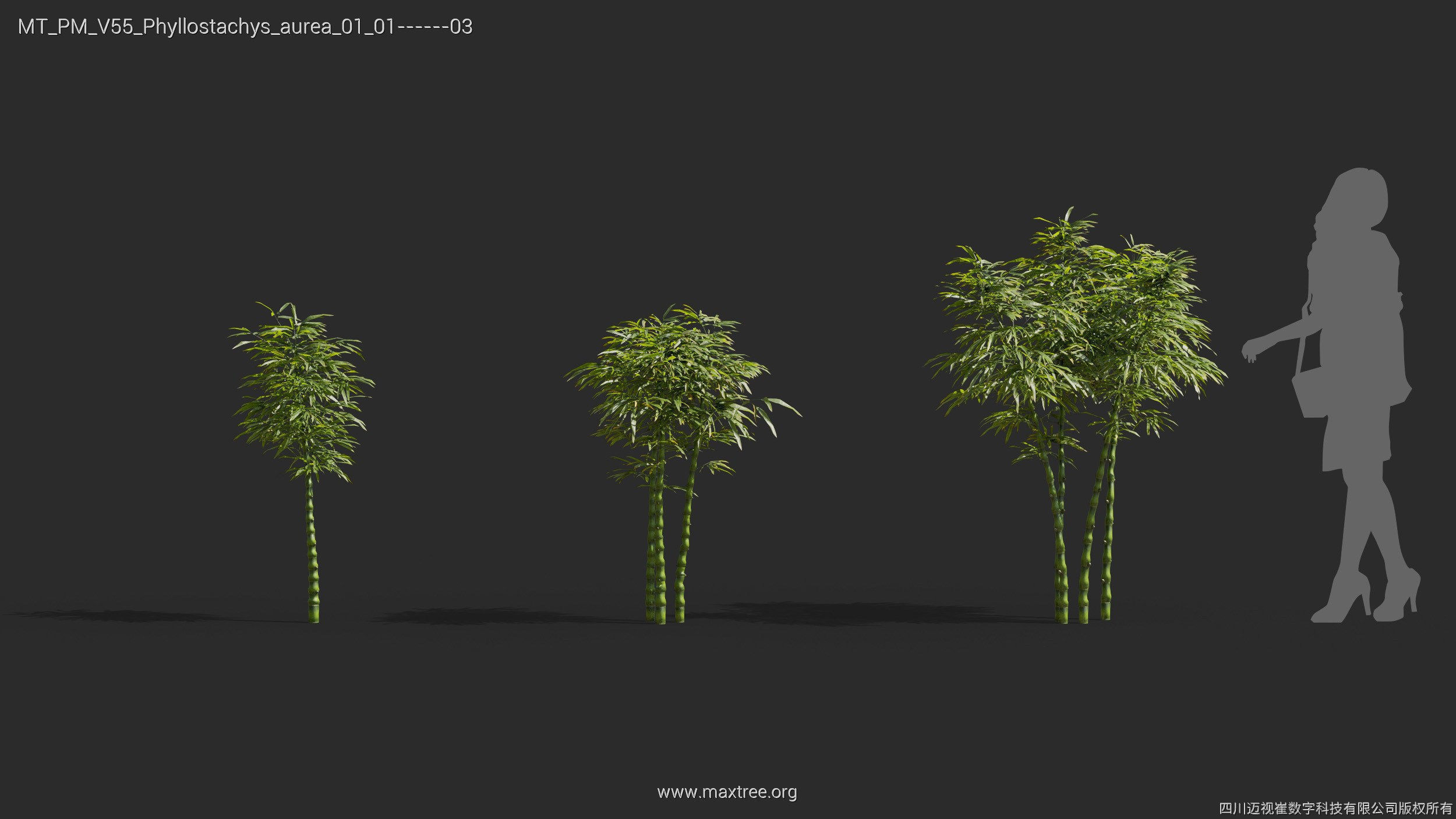 Maxtree Plant Models Vol 55 - Mesh 3D model_23