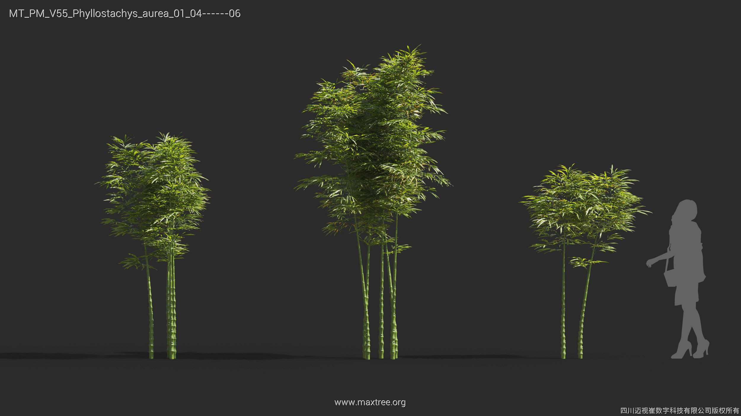 Maxtree Plant Models Vol 55 - Mesh 3D model_24