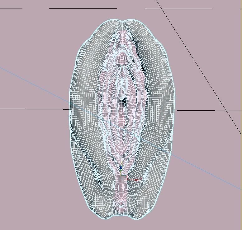 Vagina 3D model_4
