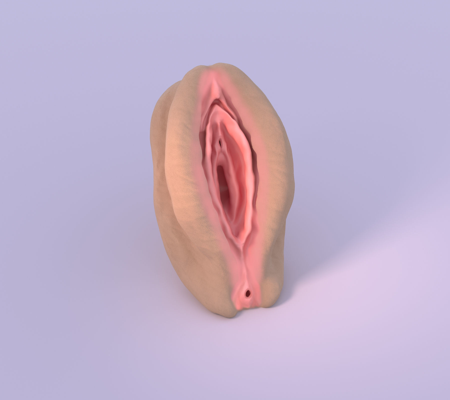 Vagina 3D model_2