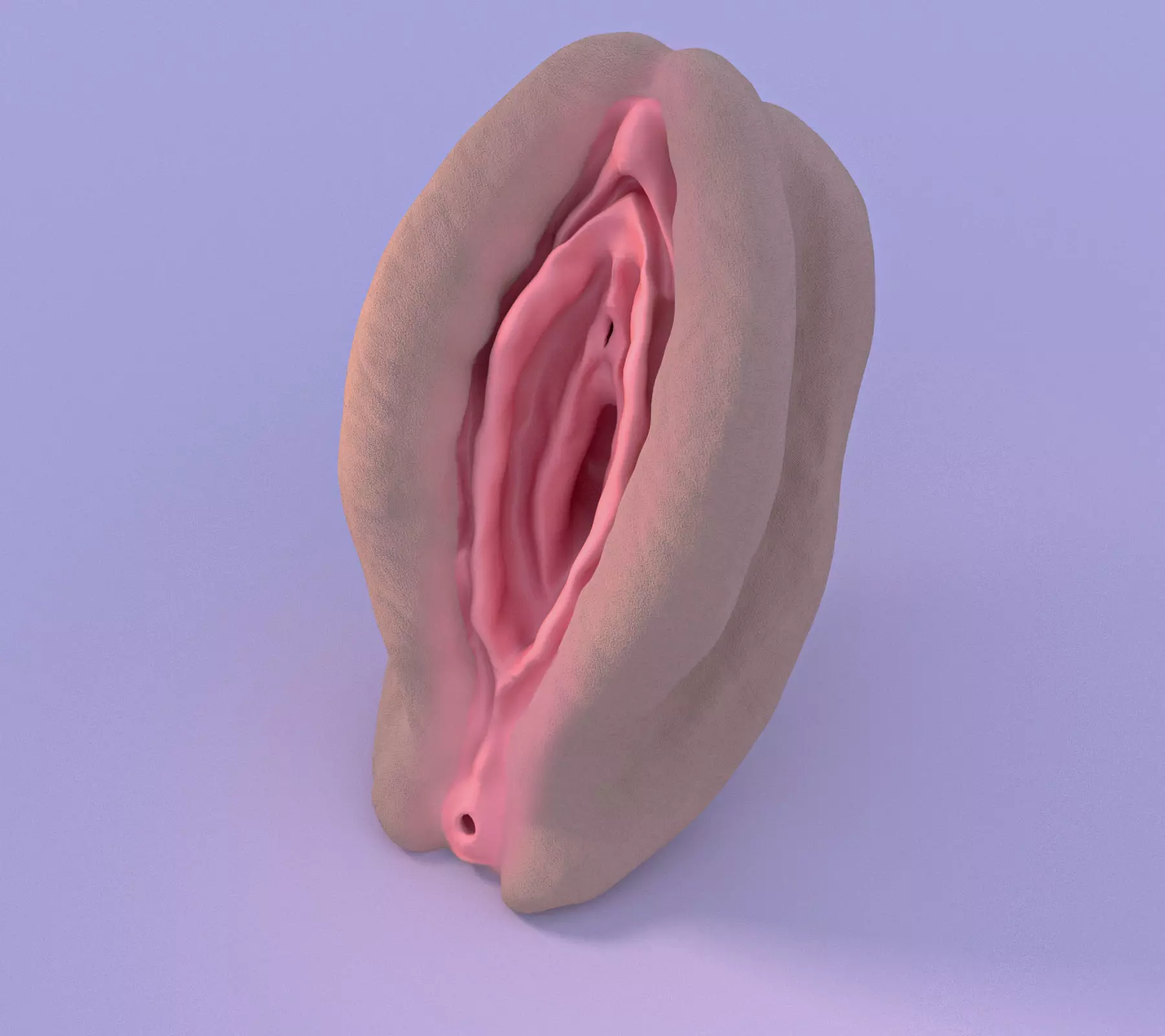Vagina 3D model_0