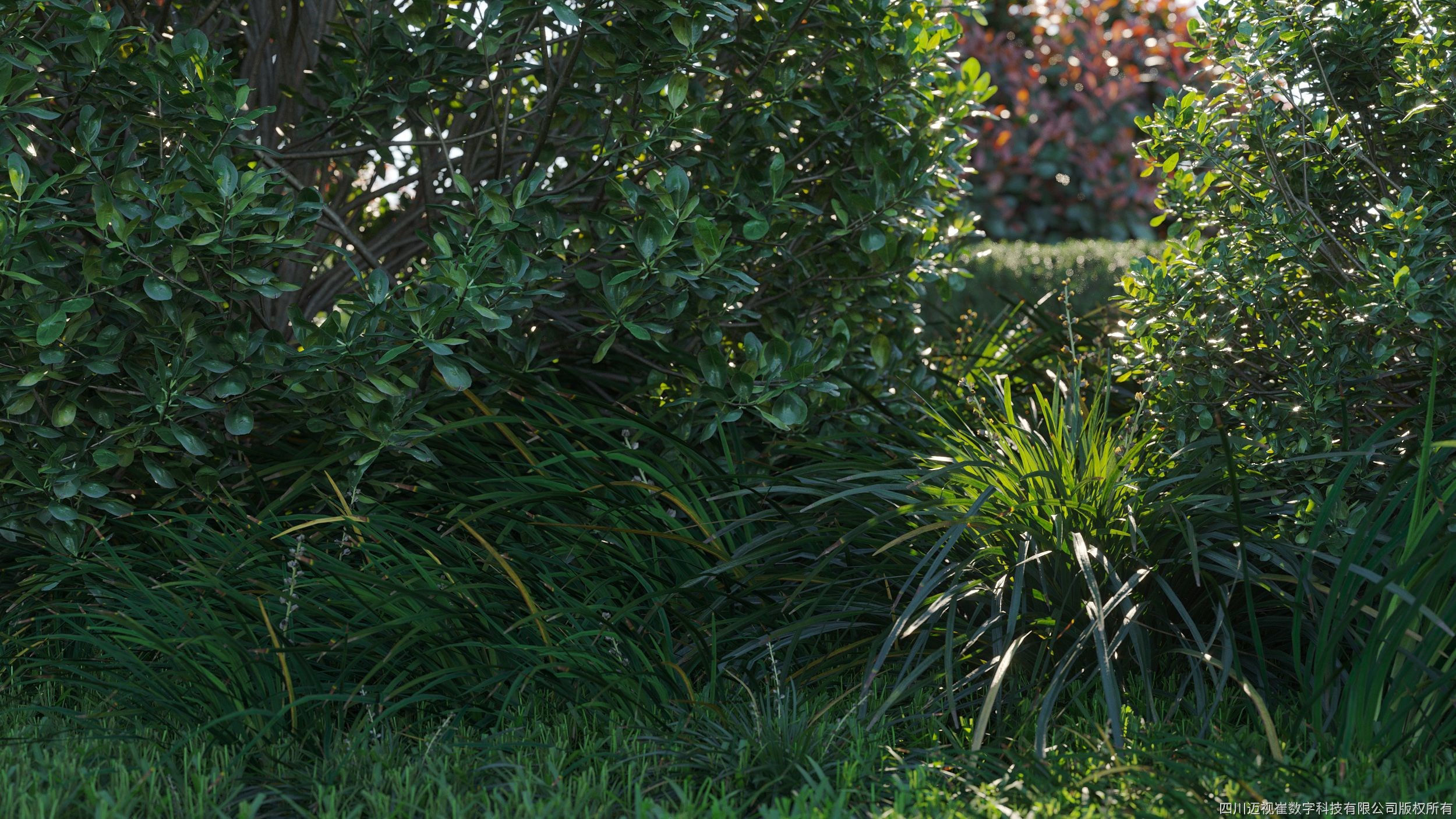 Maxtree Plant Models Vol 58 - Mesh 3D model_1