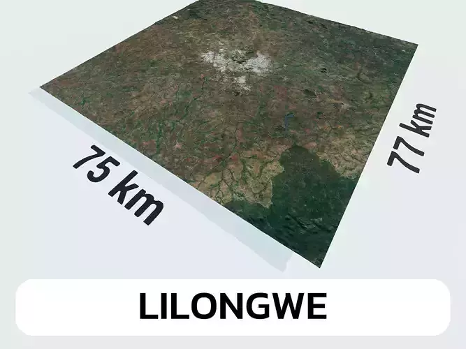 Lilongwe Malawi City Landscape 3D Model