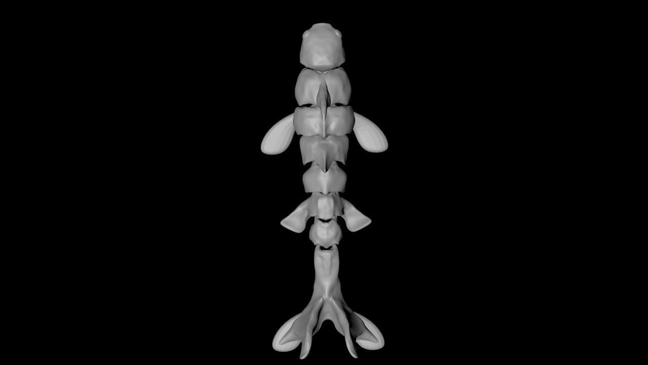Articulated Koi Fish 3D print model_8