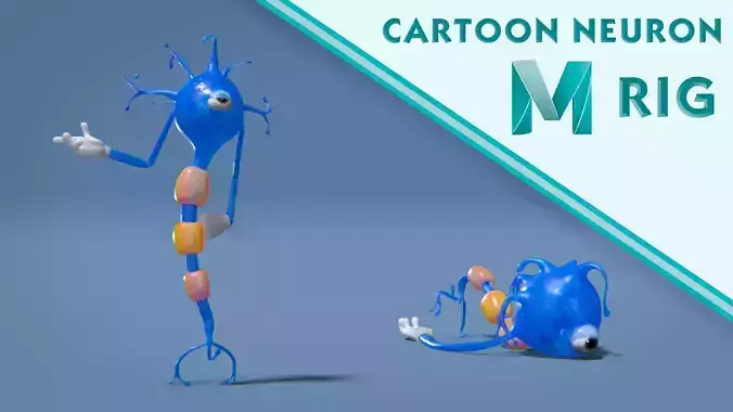 Neuron Cartoon Rig 3D model
