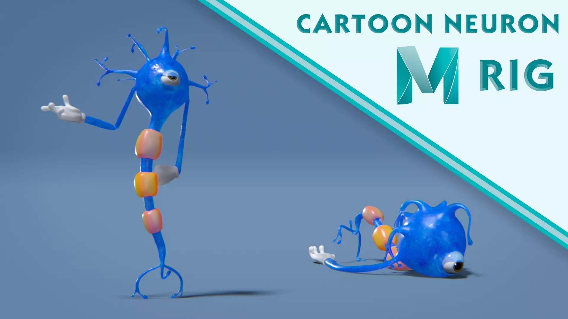 Neuron Cartoon Rig 3D model