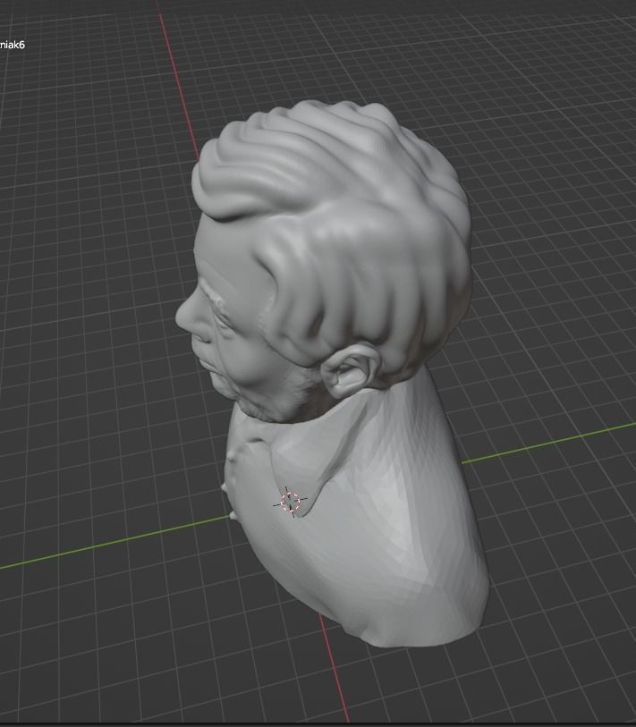 Steve Wozniak 3D print model_19