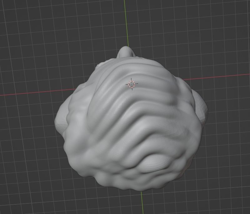 Steve Wozniak 3D print model_3