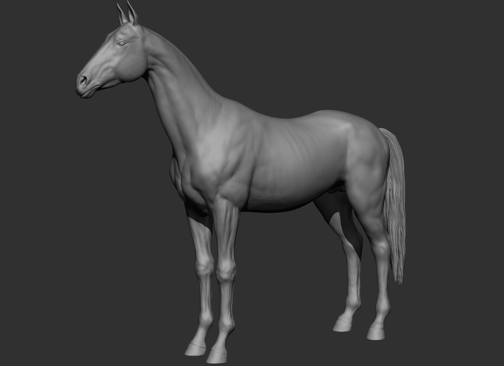 6 Horse types 3D model_104