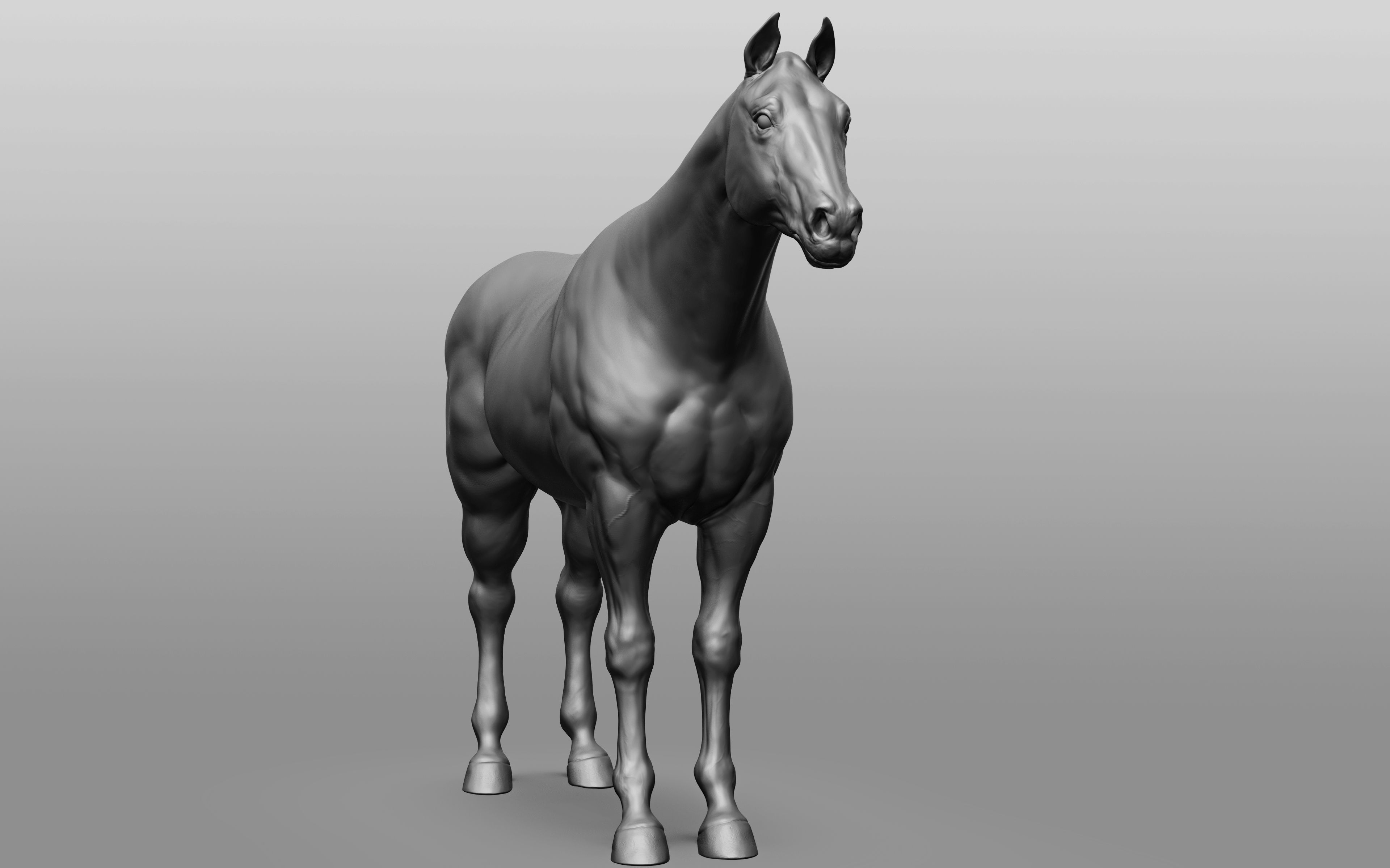 6 Horse types 3D model_79