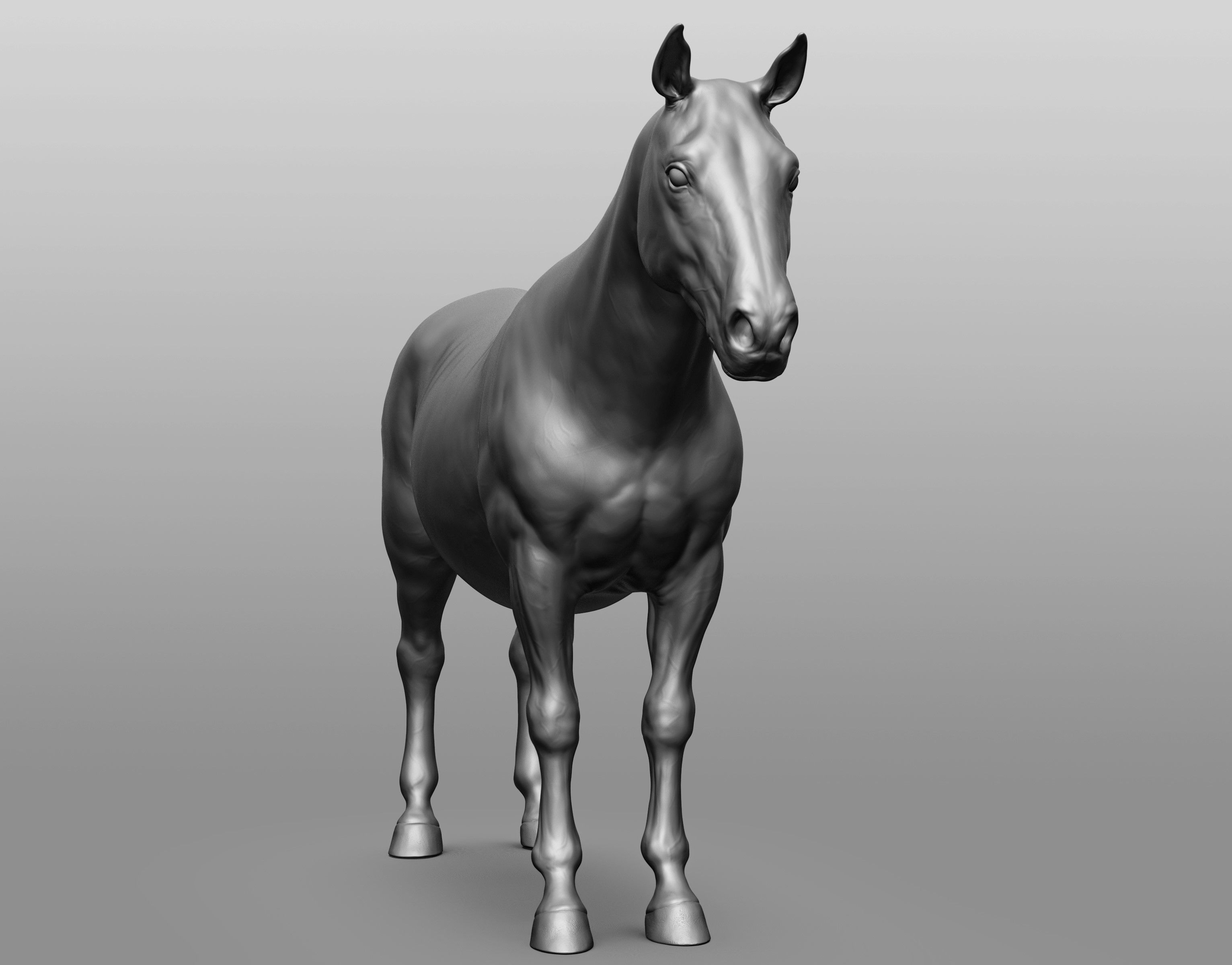 6 Horse types 3D model_108