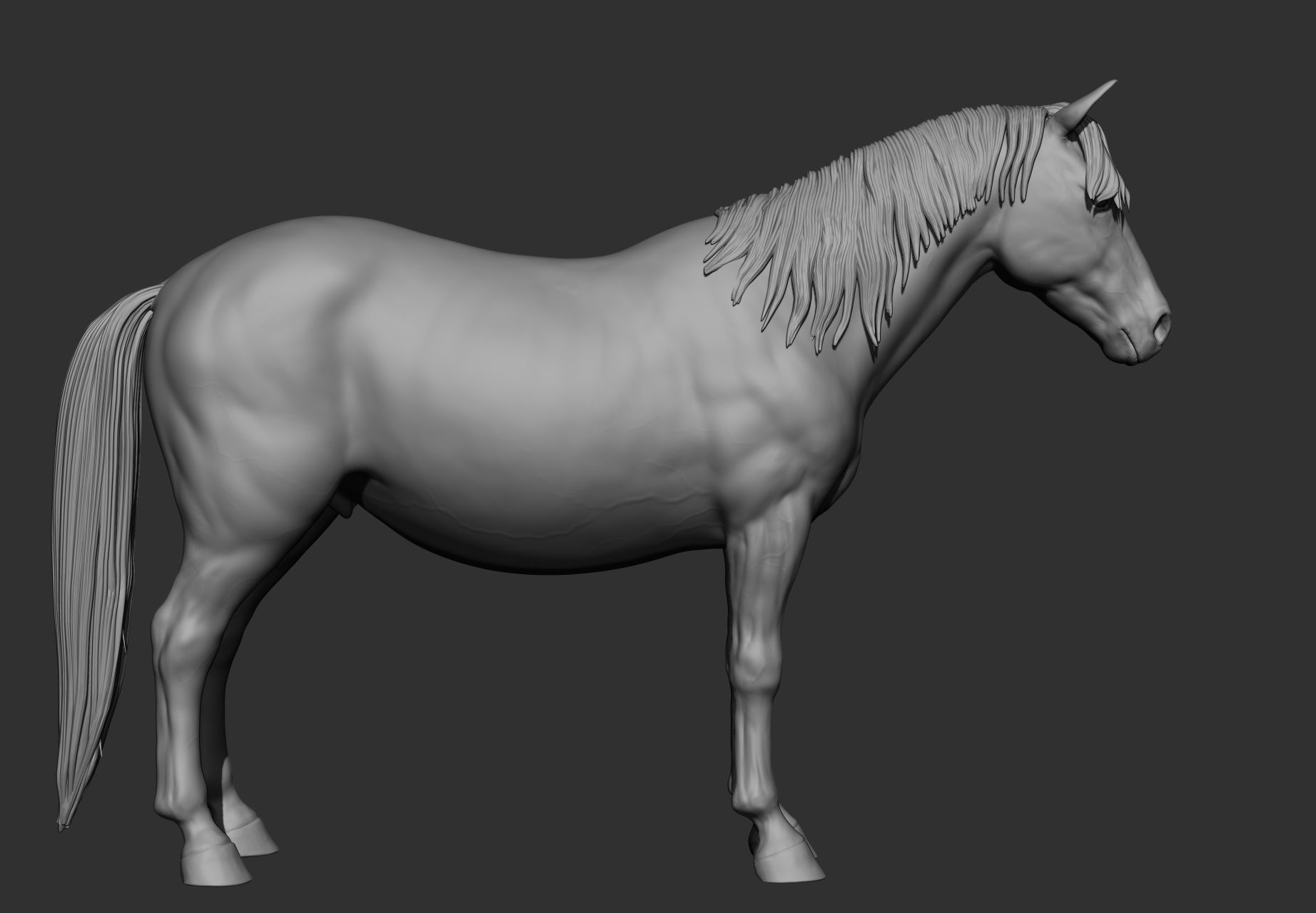 6 Horse types 3D model_118