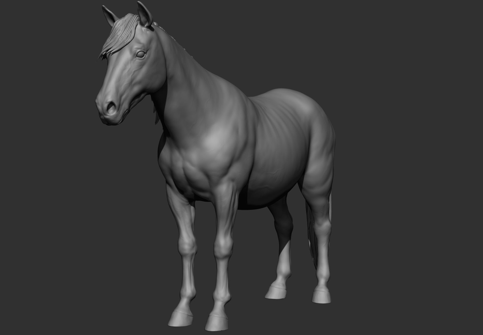 6 Horse types 3D model_119