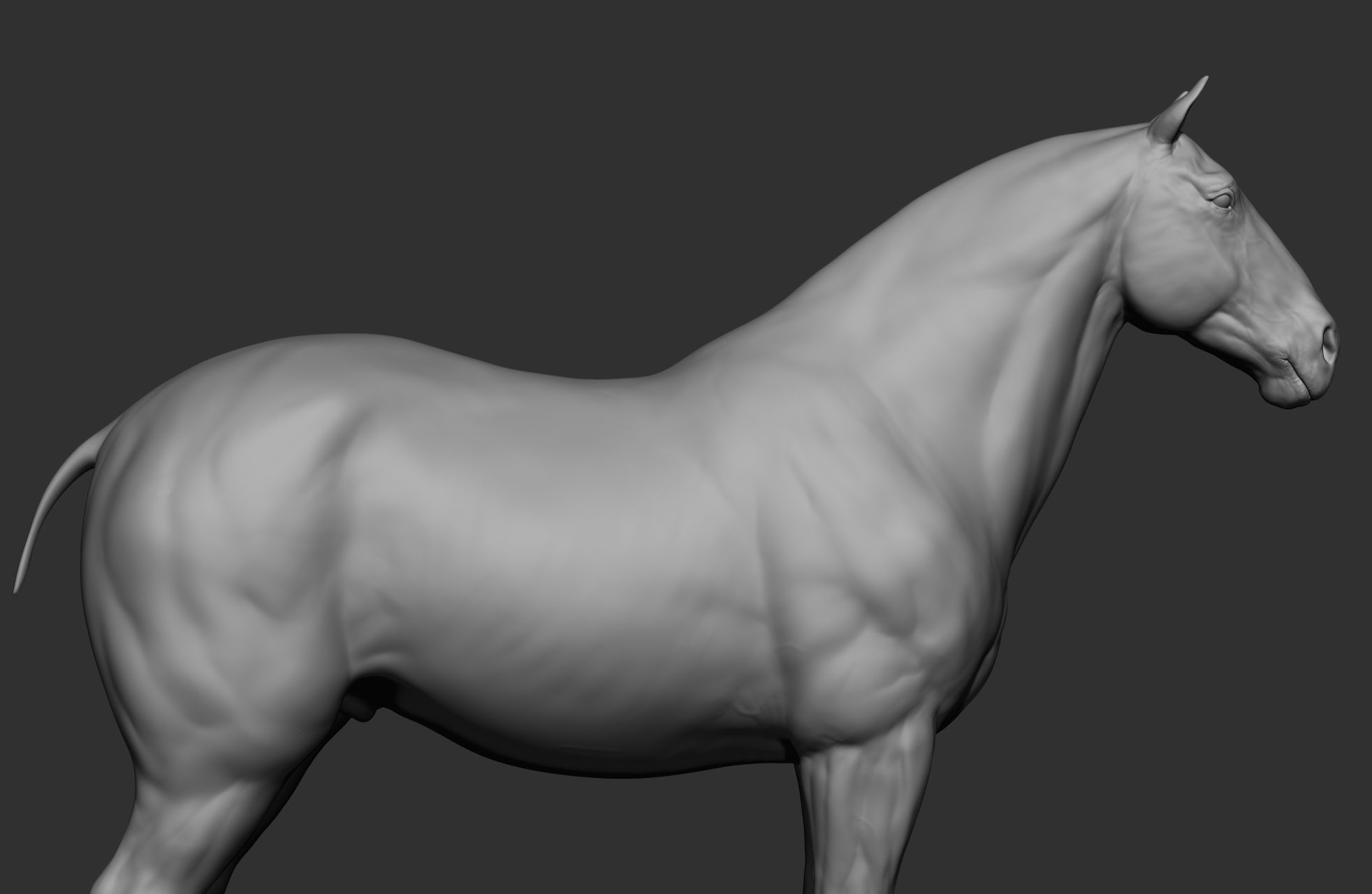 6 Horse types 3D model_71